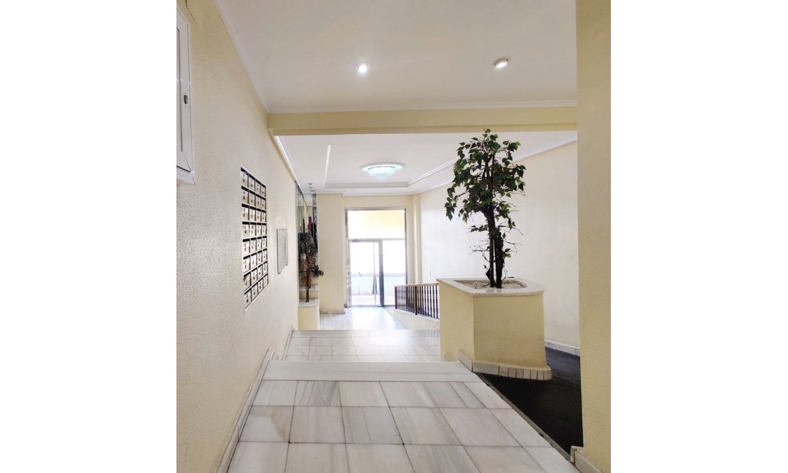 Használt Ingatlanok - Tetőtéri lakás -
Torrevieja - Costa Blanca