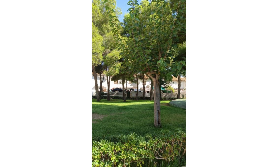 Használt Ingatlanok - Sorház -
Torrevieja - Los Balcones