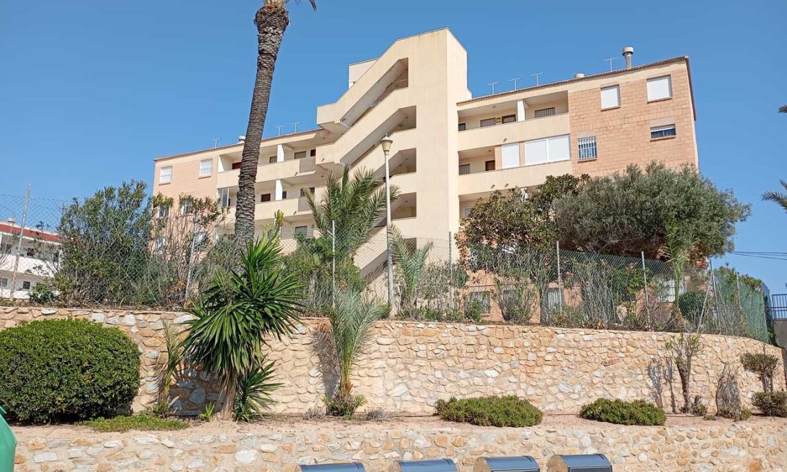 Segunda mano - Apartamento -
Mil Palmeras - Costa Blanca