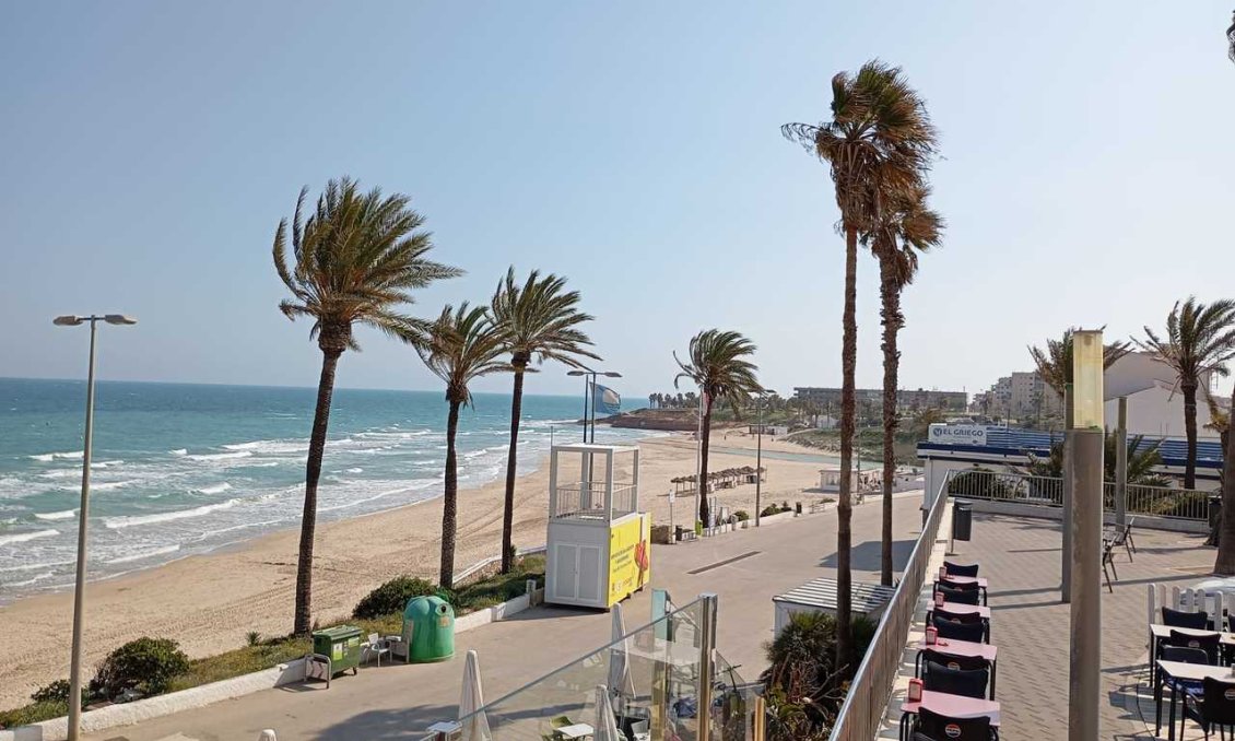 Segunda mano - Apartamento -
Mil Palmeras - Costa Blanca