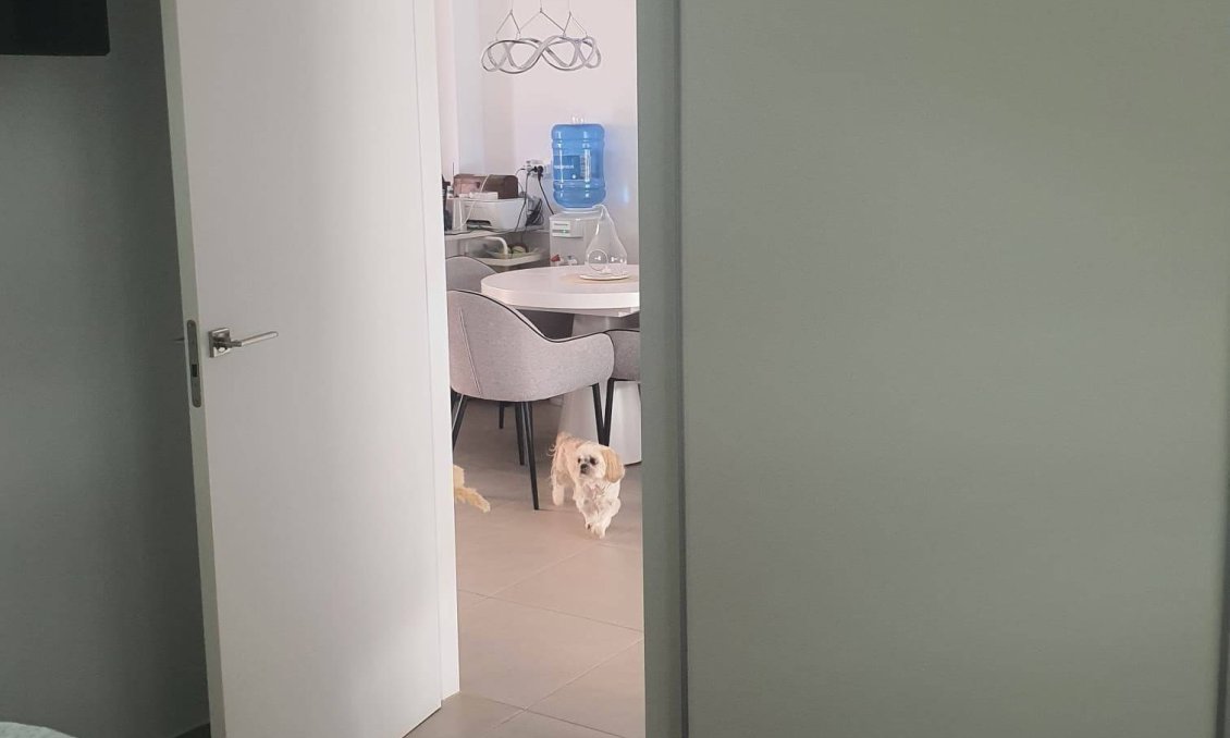 Revente - Villa -
San Pedro del Pinatar - Centro