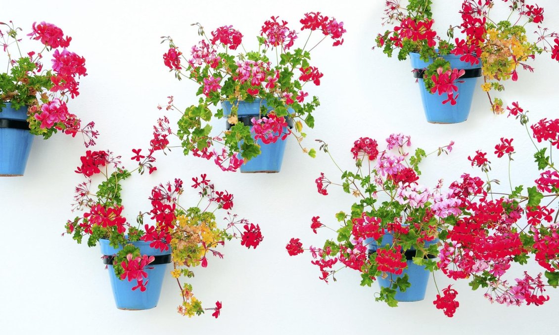 Neue Gebäude - Wohnung -
Mijas - La Noria Golf