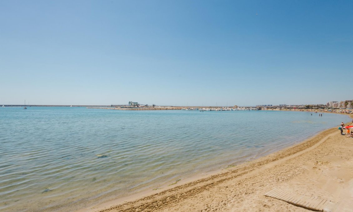 Használt Ingatlanok - Apartman -
Torrevieja - Costa Blanca
