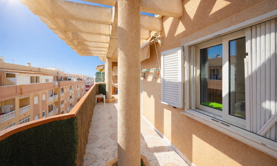 Használt Ingatlanok - Apartman -
Torrevieja - Costa Blanca