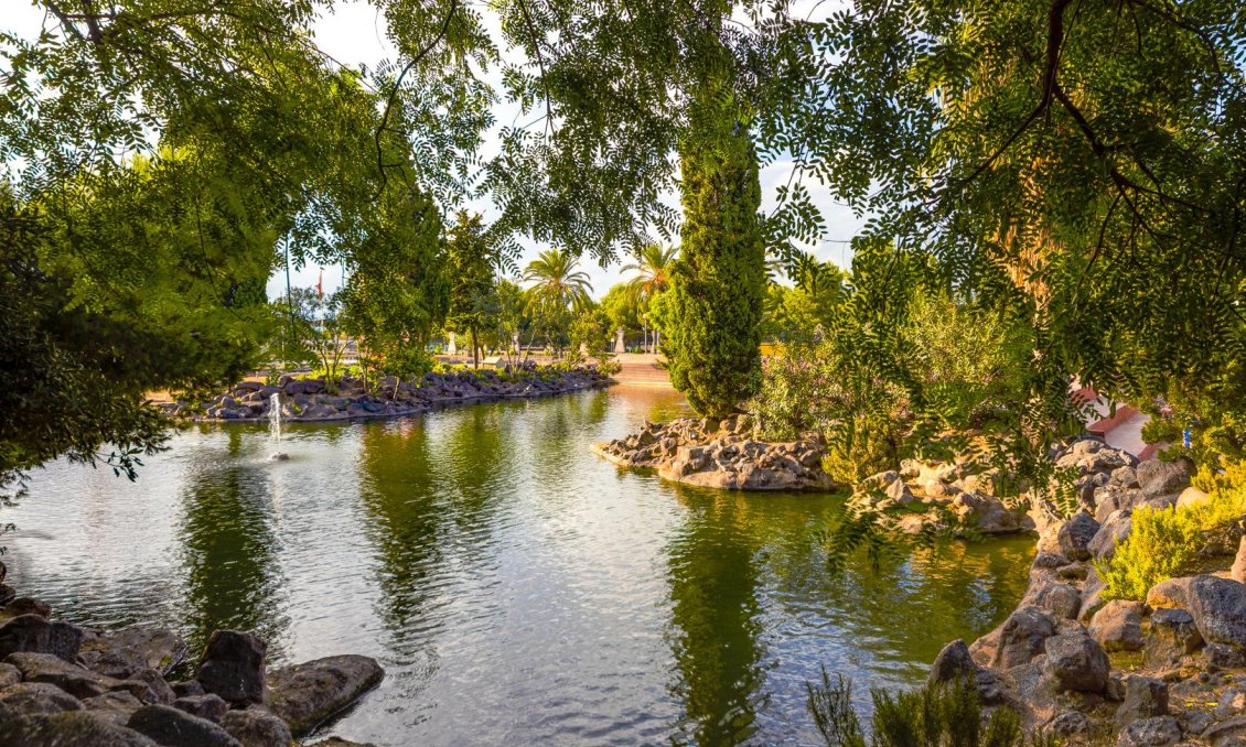 Használt Ingatlanok - Apartman -
Torrevieja - Costa Blanca