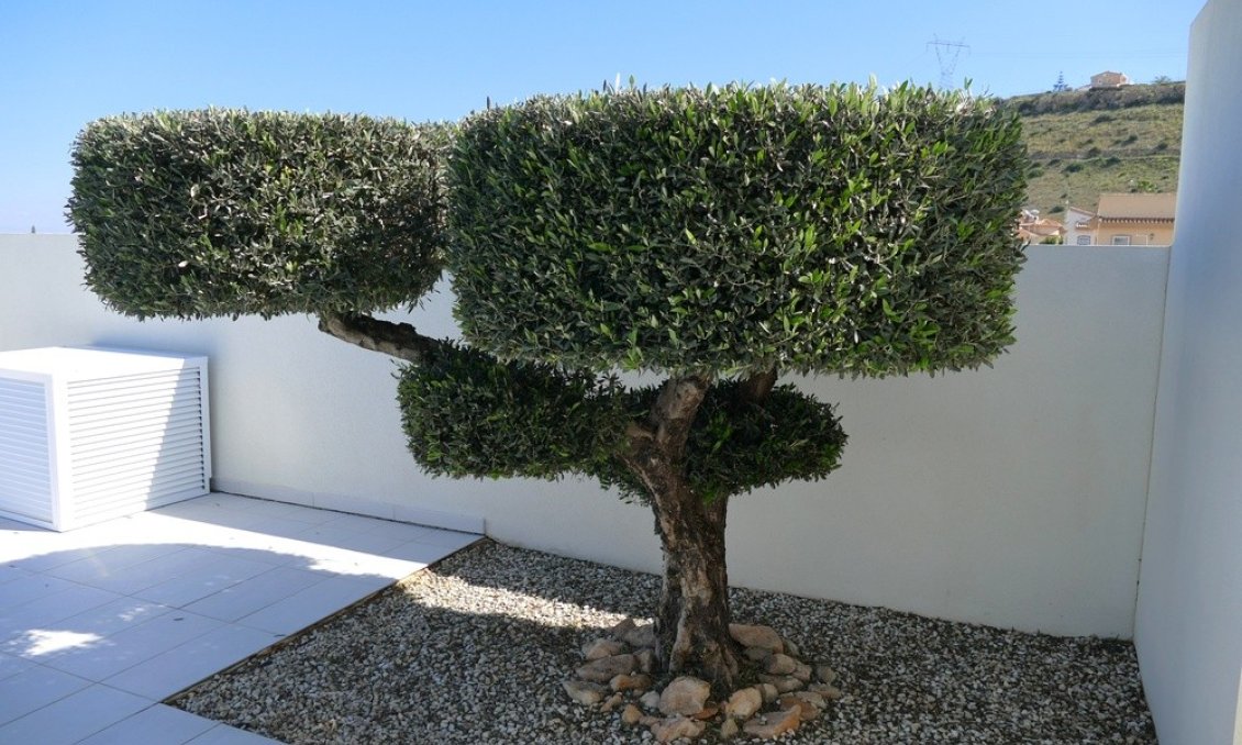 Használt Ingatlanok - Villa -
Benijofar - Costa Blanca