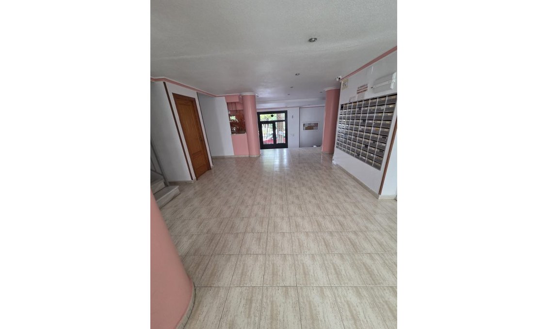 Használt Ingatlanok - Tetőtéri lakás -
Torrevieja - Costa Blanca