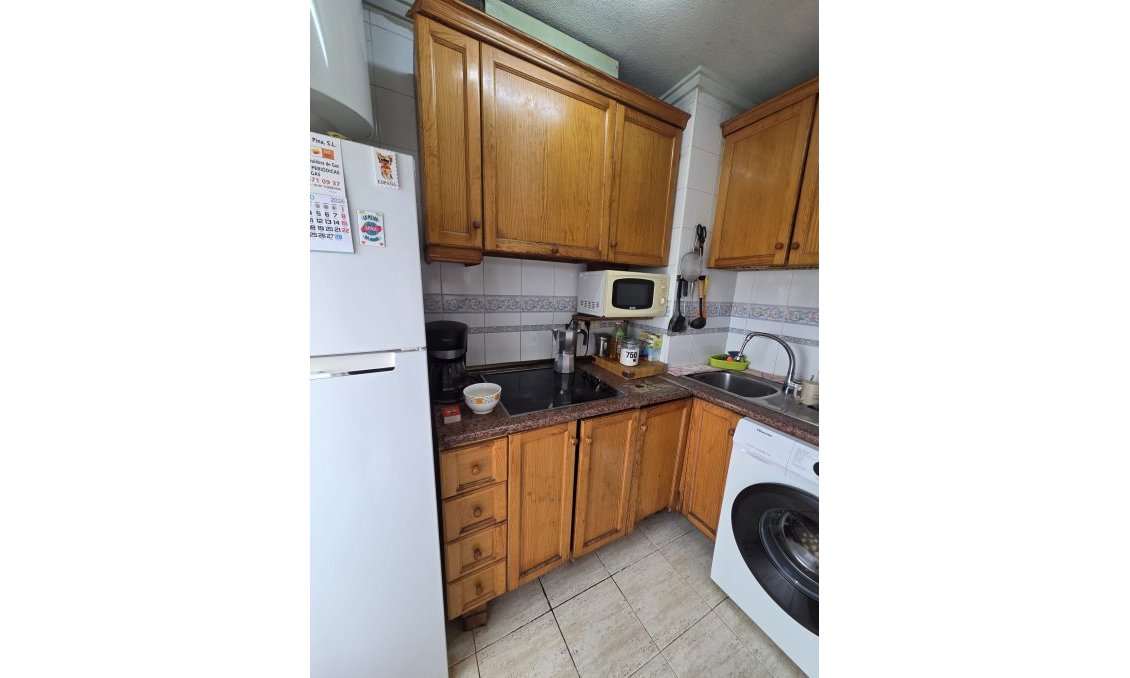 Használt Ingatlanok - Tetőtéri lakás -
Torrevieja - Costa Blanca