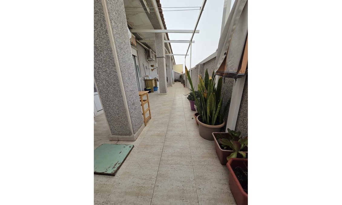 Használt Ingatlanok - Tetőtéri lakás -
Torrevieja - Costa Blanca