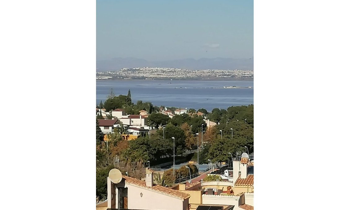 Használt Ingatlanok - Villa -
Torrevieja - Costa Blanca