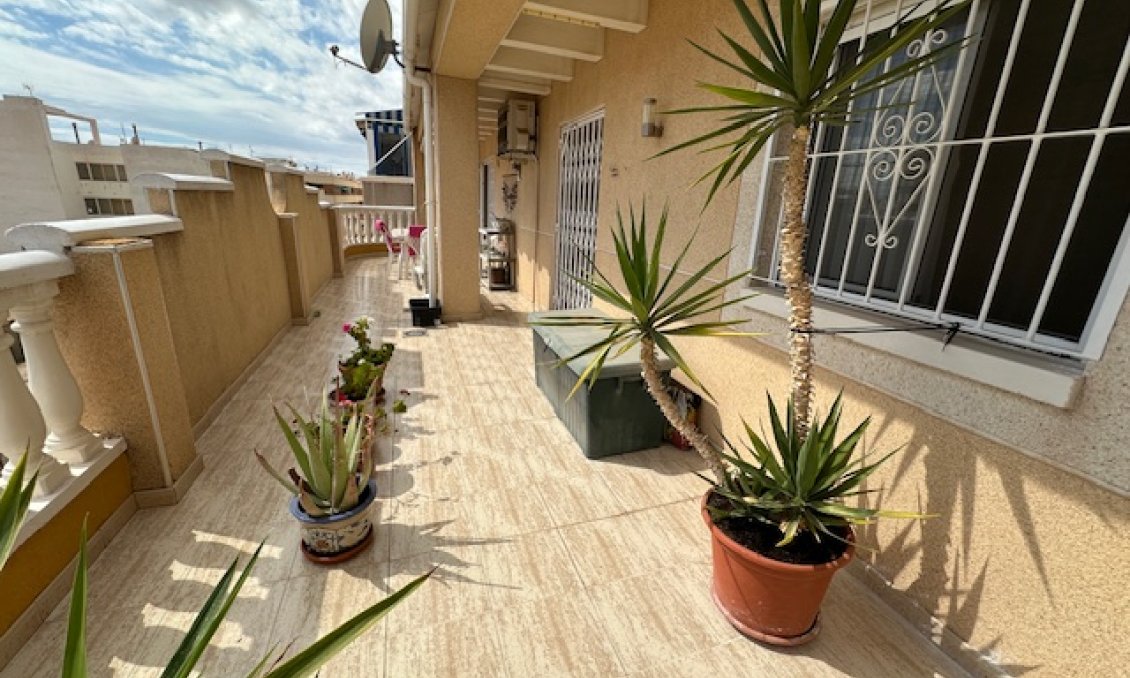 Használt Ingatlanok - Apartman -
Torrevieja - Costa Blanca