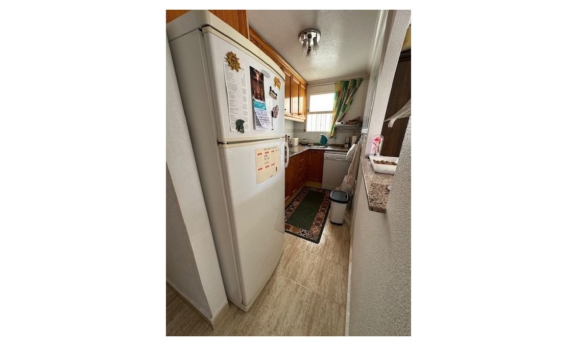 Használt Ingatlanok - Apartman -
Torrevieja - Costa Blanca