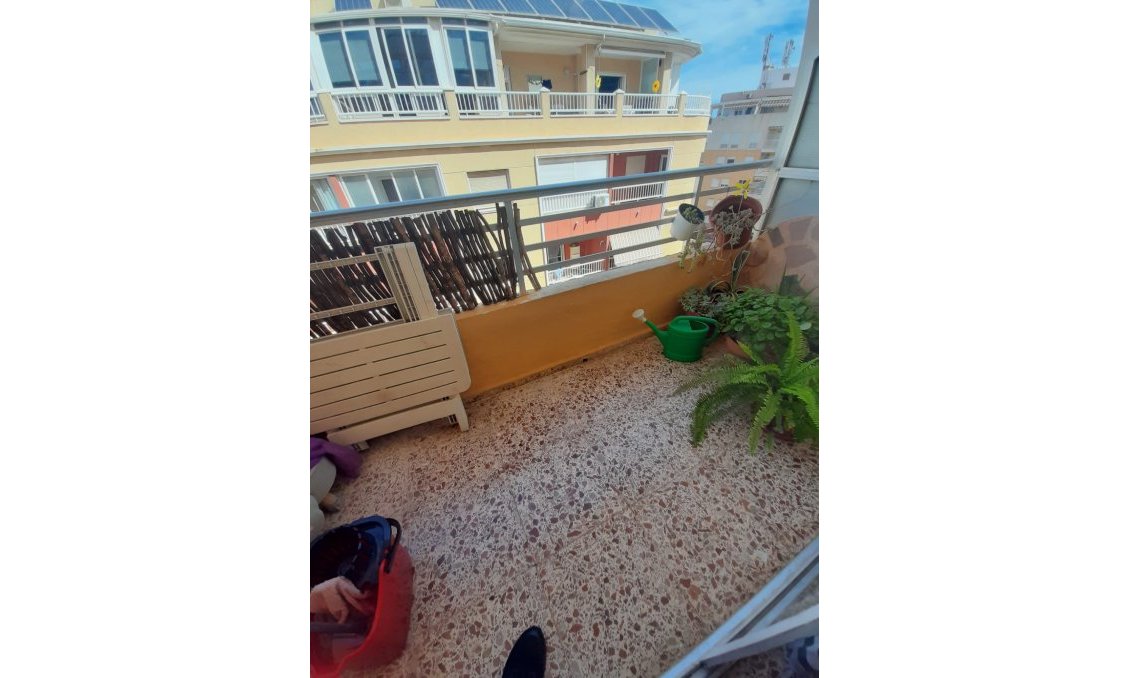 Használt Ingatlanok - Apartman -
Torrevieja - Costa Blanca