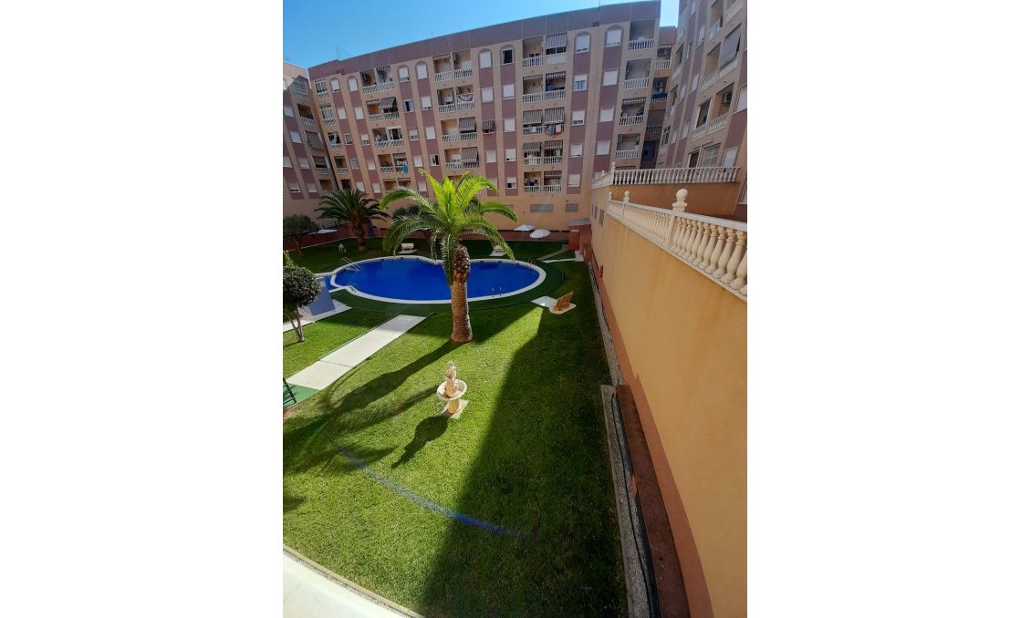Revente - Appartement -
Torrevieja - Costa Blanca
