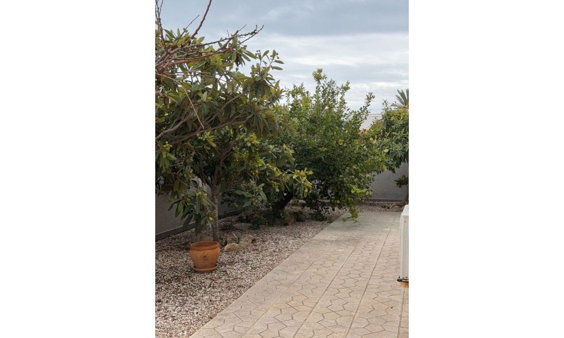 Használt Ingatlanok - Villa -
Playa Flamenca - Costa Blanca