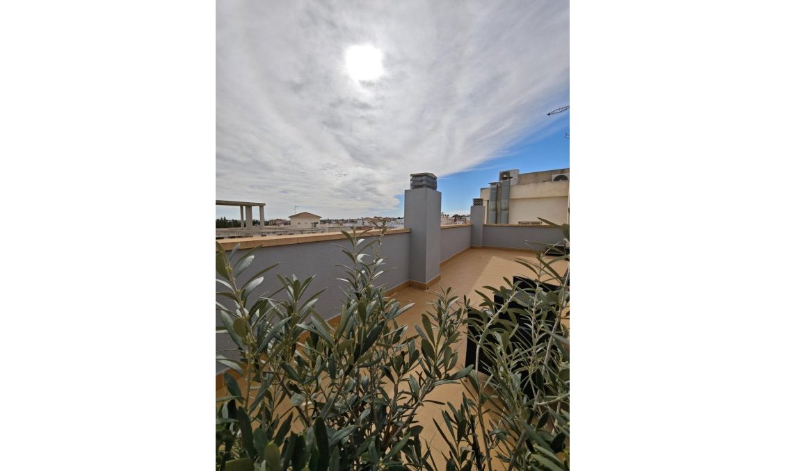 Segunda mano - Apartamento -
San Miguel de Salinas - Pueblo 9