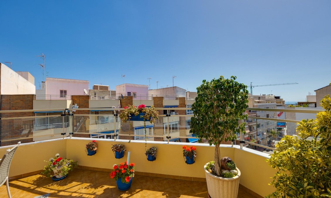 Használt Ingatlanok - Tetőtéri lakás -
Torrevieja - Centrum
