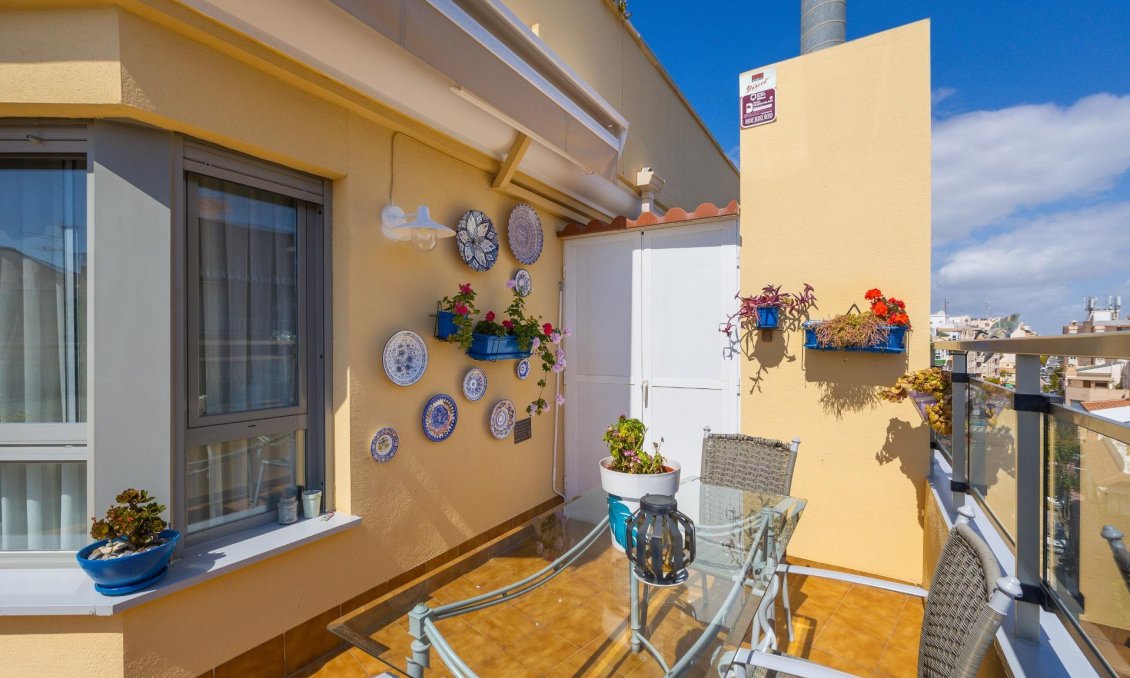 Használt Ingatlanok - Tetőtéri lakás -
Torrevieja - Centrum