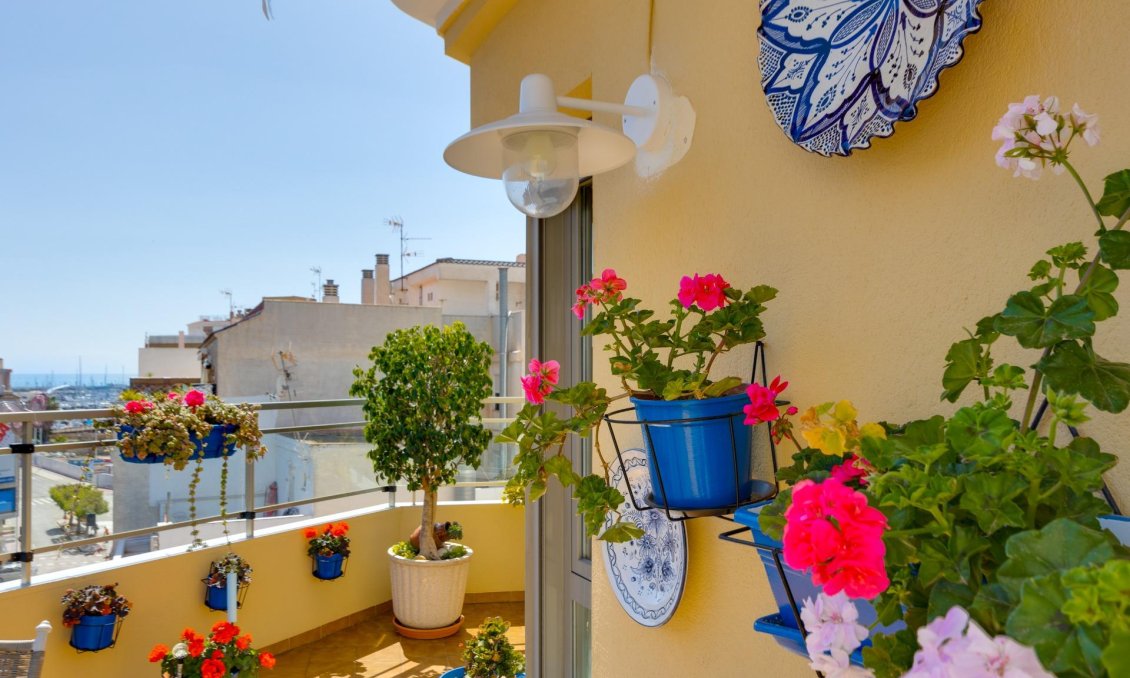 Használt Ingatlanok - Tetőtéri lakás -
Torrevieja - Centrum