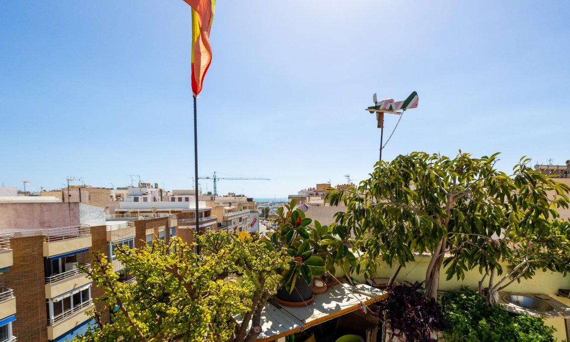 Használt Ingatlanok - Tetőtéri lakás -
Torrevieja - Centrum