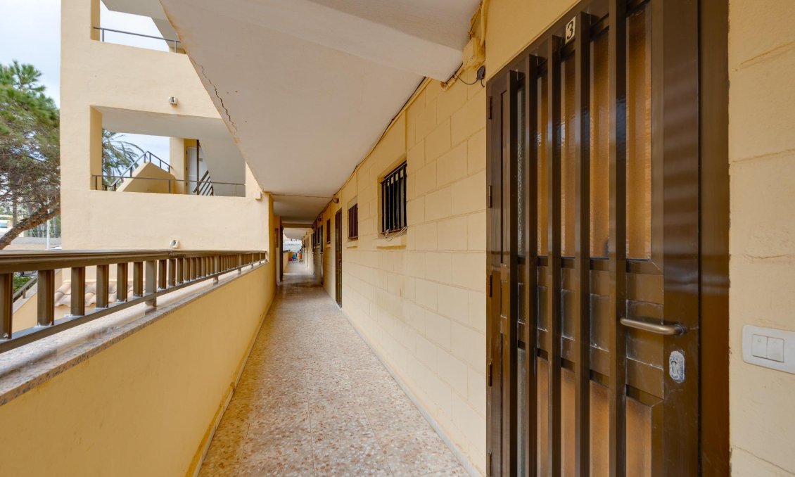 Használt Ingatlanok - Apartman -
Torrevieja - Cabo Cervera