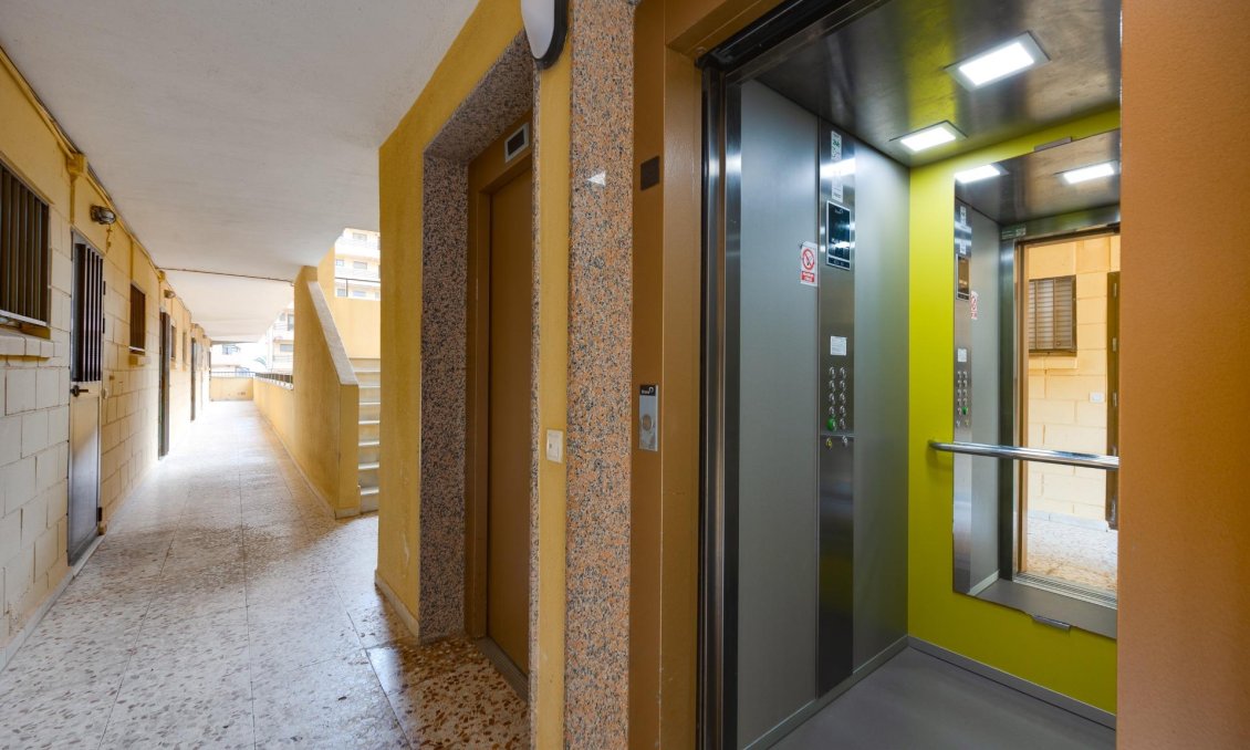 Használt Ingatlanok - Apartman -
Torrevieja - Cabo Cervera