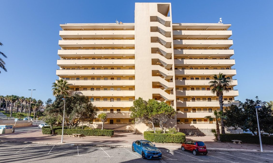 Használt Ingatlanok - Apartman -
Torrevieja - Cabo Cervera