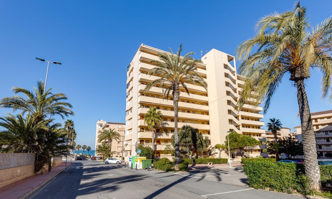 Használt Ingatlanok - Apartman -
Torrevieja - Cabo Cervera
