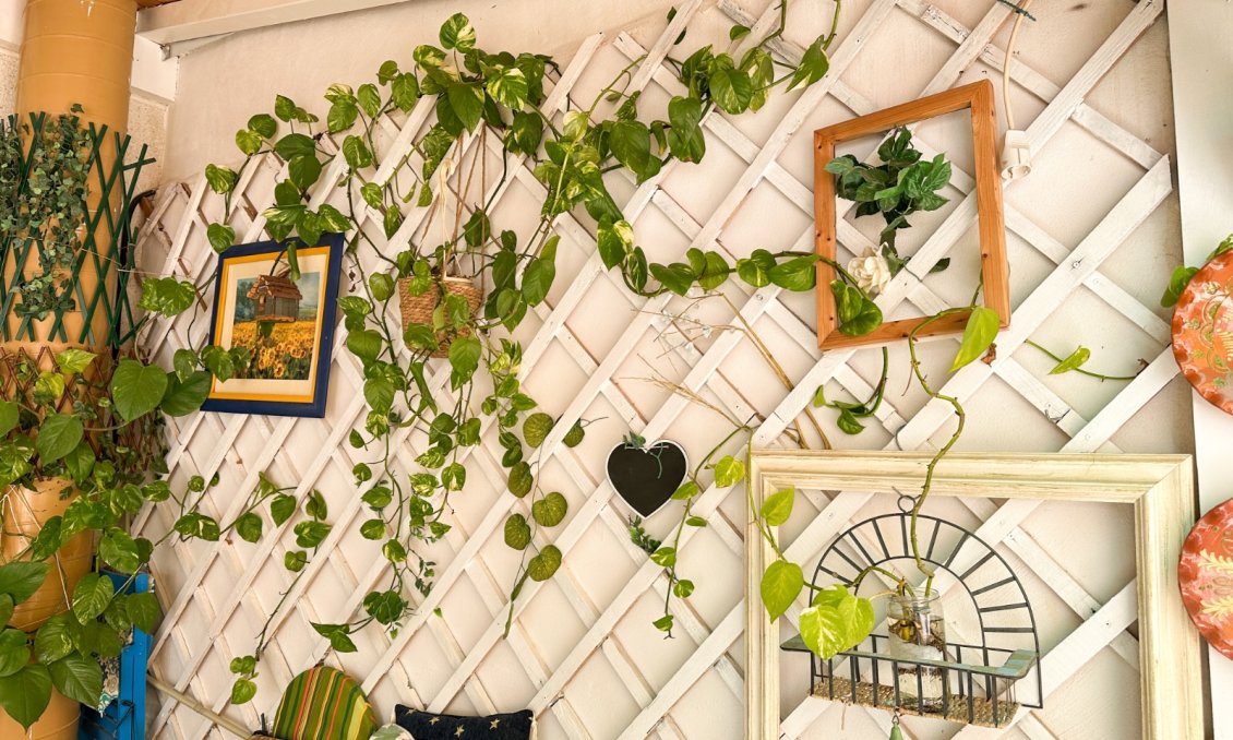 Használt Ingatlanok - Apartman -
Torrevieja - Costa Blanca