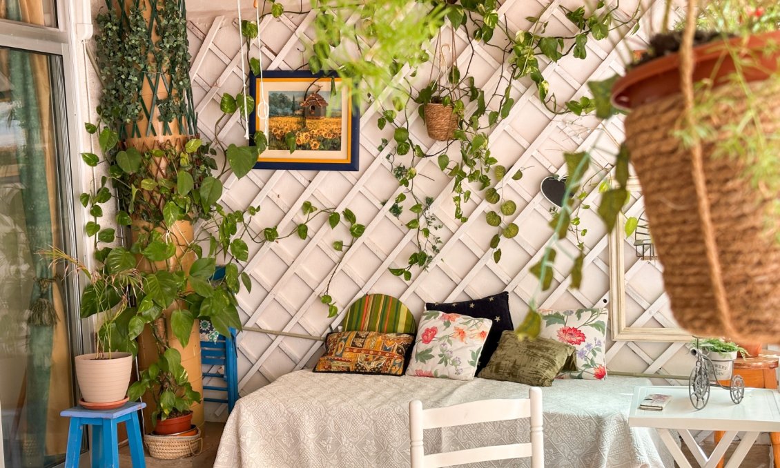 Használt Ingatlanok - Apartman -
Torrevieja - Costa Blanca