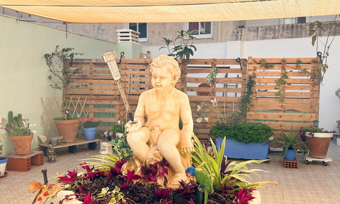 Használt Ingatlanok - Apartman -
Torrevieja - Costa Blanca