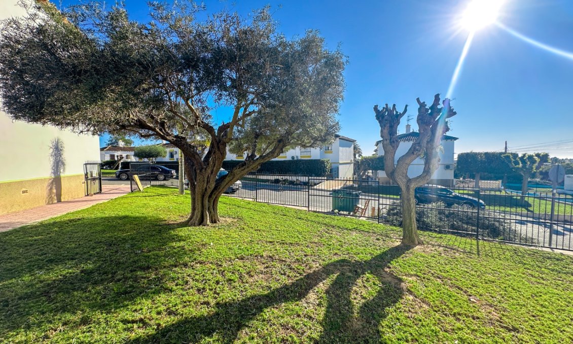 Használt Ingatlanok - Apartman -
Villamartin - Costa Blanca