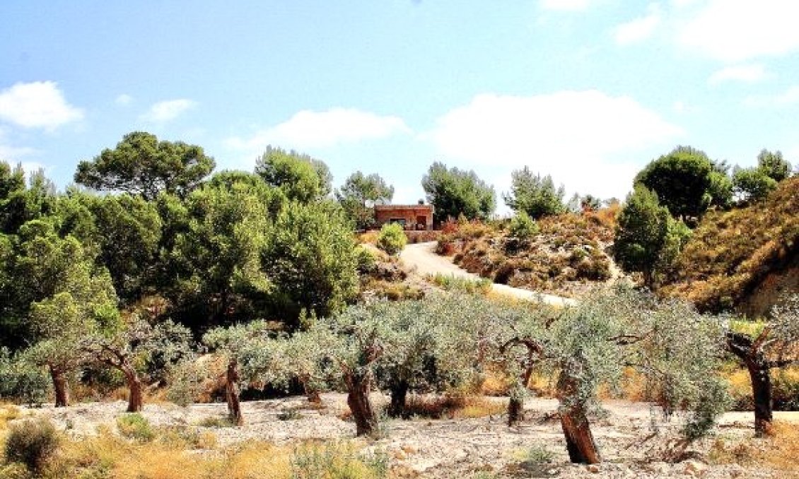 Resale - Villa -
Murcia - Inland