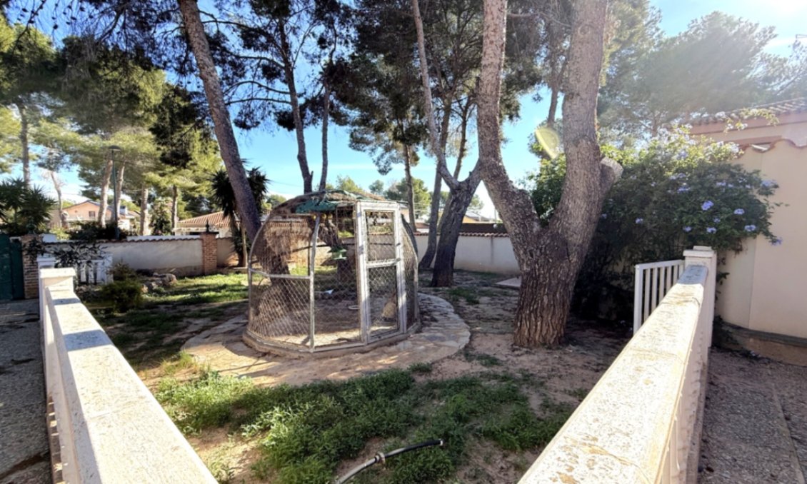 Segunda mano - Villa -
Pilar de la Horadada - Costa Blanca