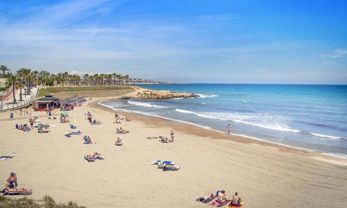 Használt Ingatlanok - Apartman -
Orihuela - Inland