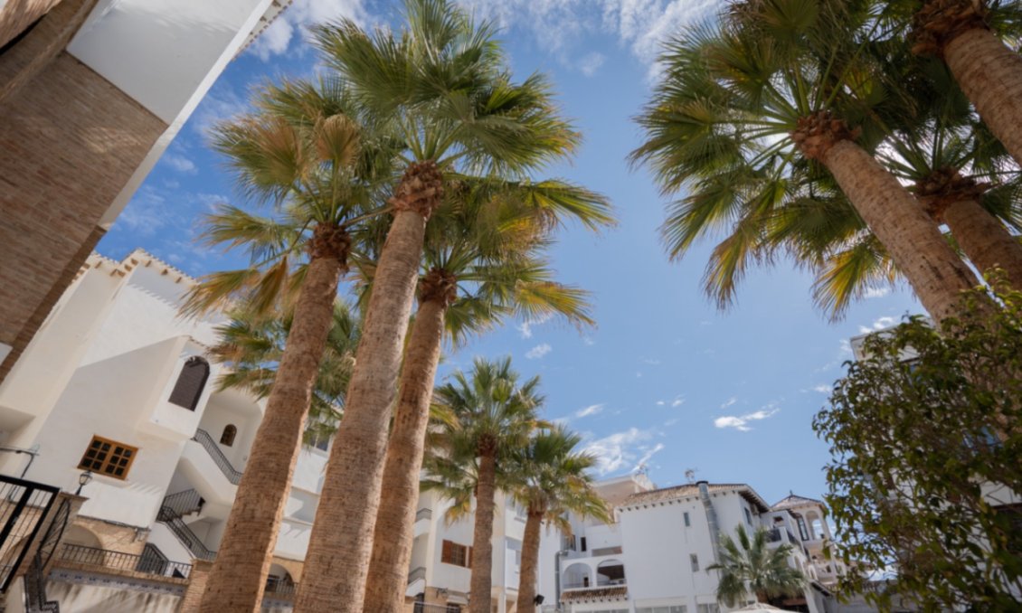 Használt Ingatlanok - Apartman -
Orihuela - Inland