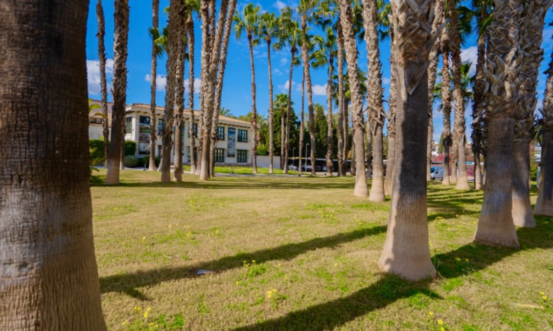 Használt Ingatlanok - Apartman -
Orihuela - Inland