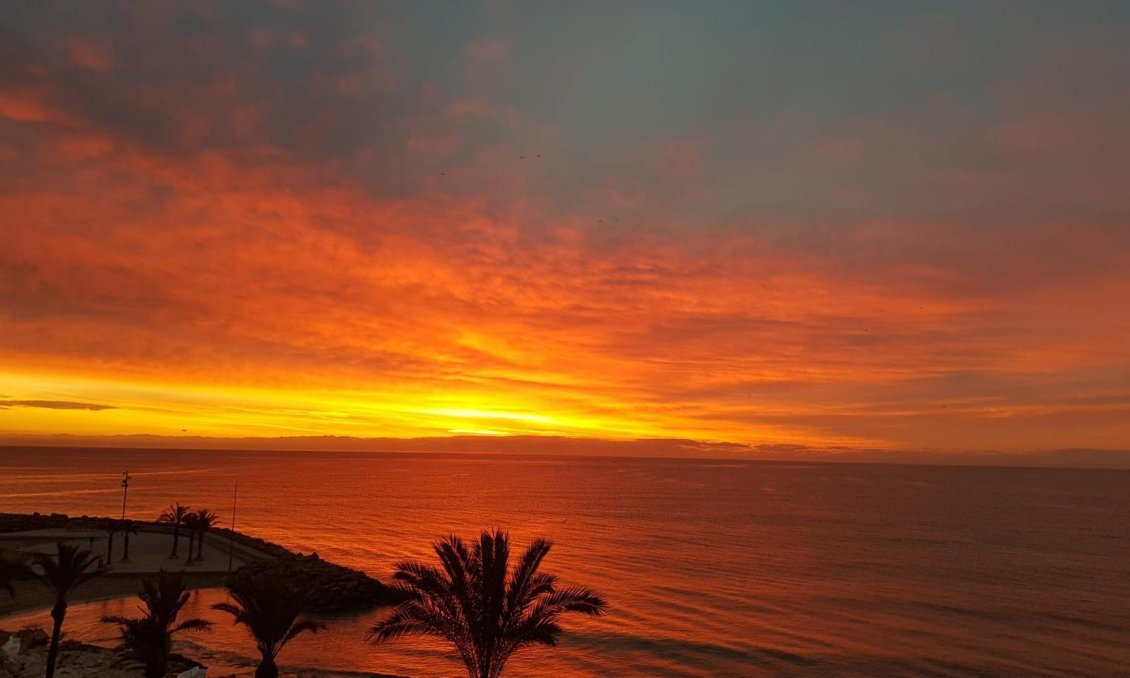 Használt Ingatlanok - Apartman -
Torrevieja - Las Piscinas Naturales