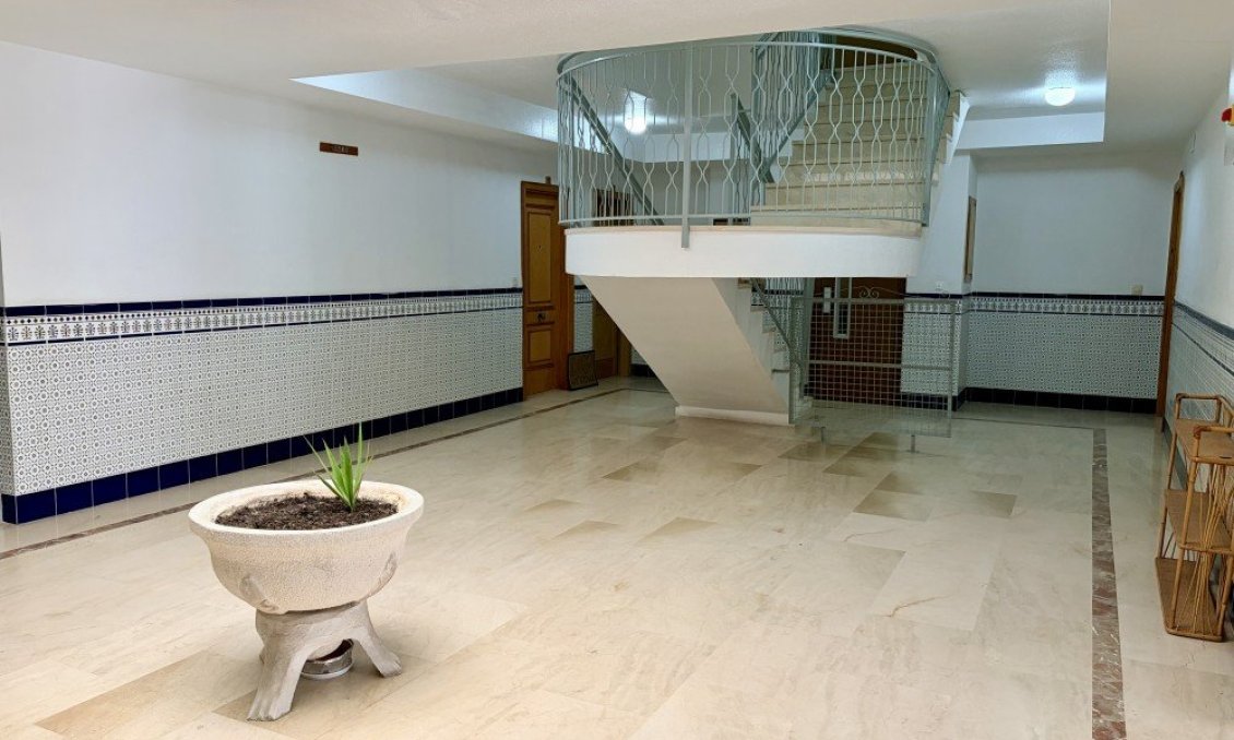 Használt Ingatlanok - Apartman -
Guardamar del Segura - Costa Blanca