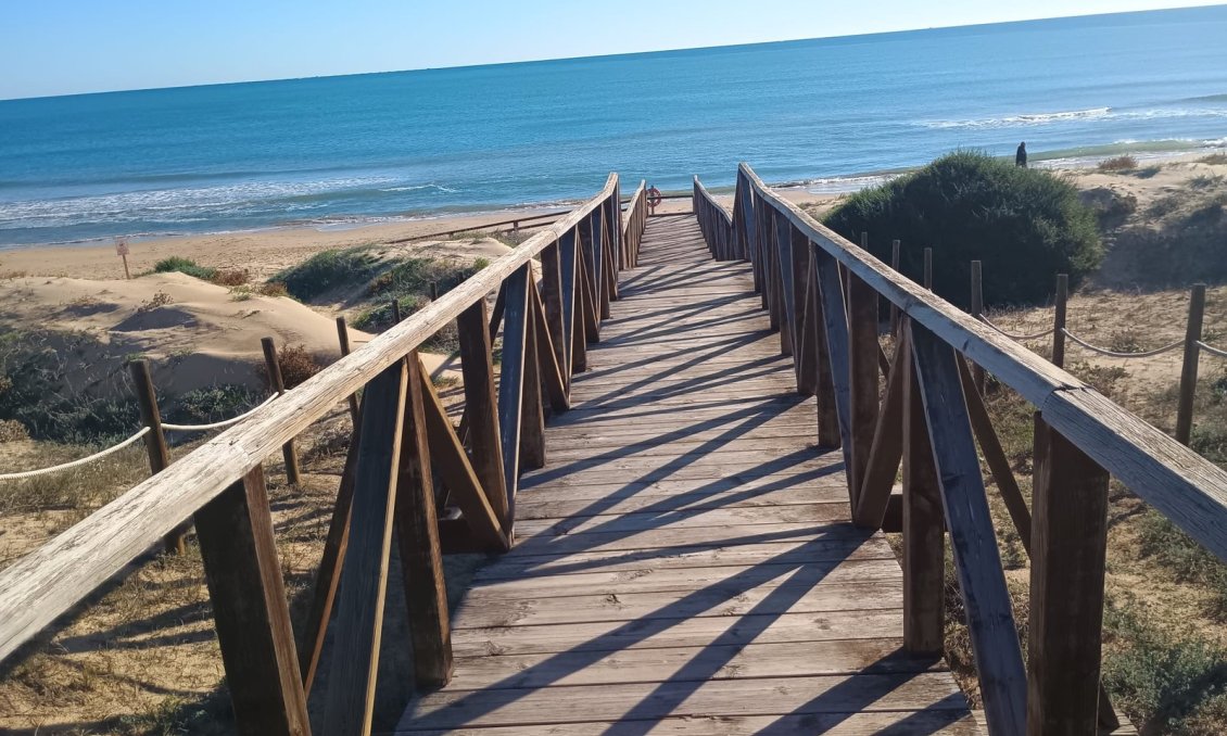 Használt Ingatlanok - Apartman -
Guardamar del Segura - Costa Blanca