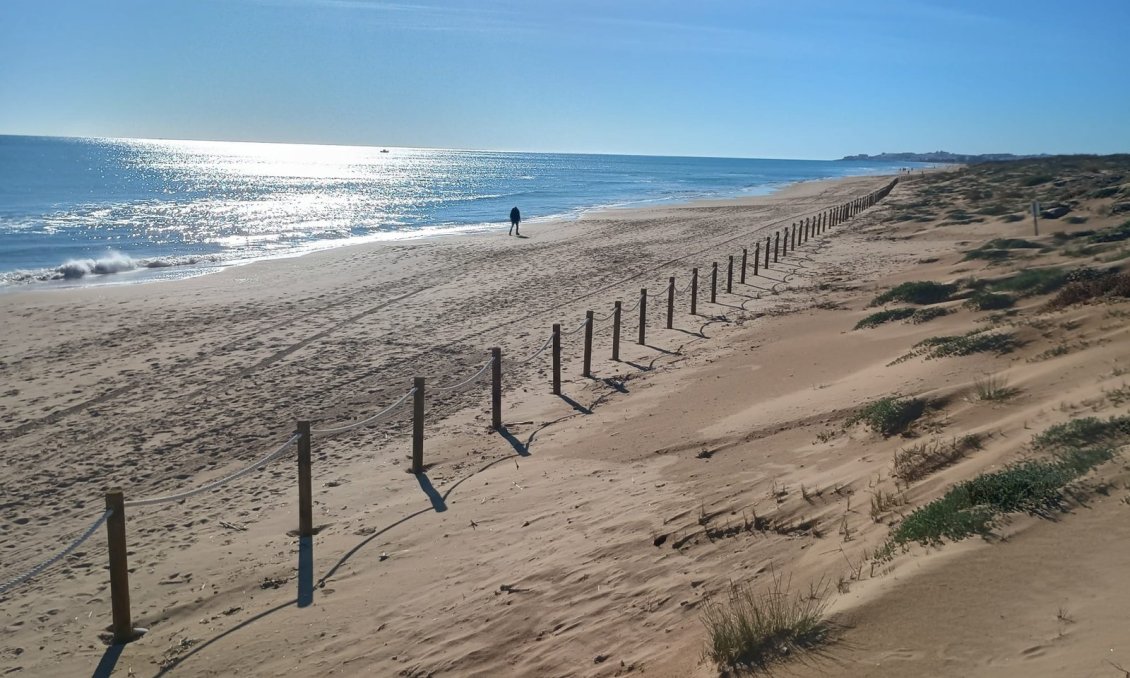 Használt Ingatlanok - Apartman -
Guardamar del Segura - Costa Blanca