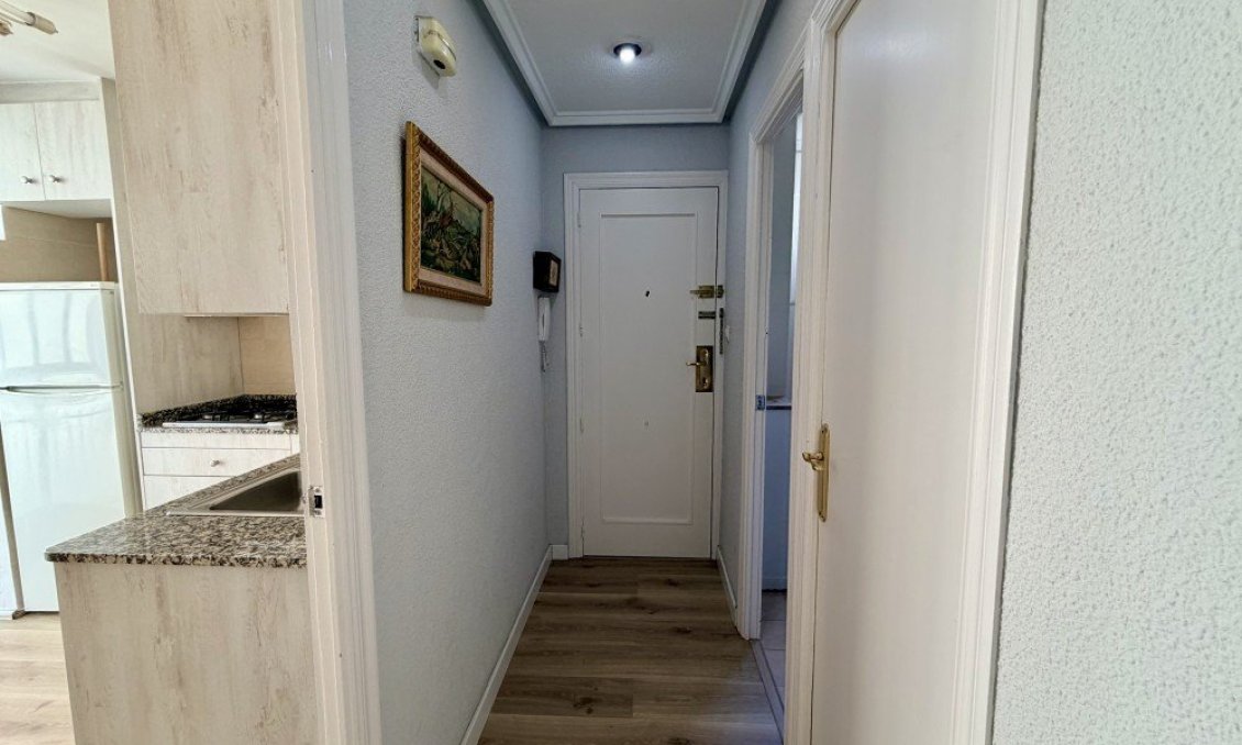 Használt Ingatlanok - Apartman -
Elche - Costa Blanca