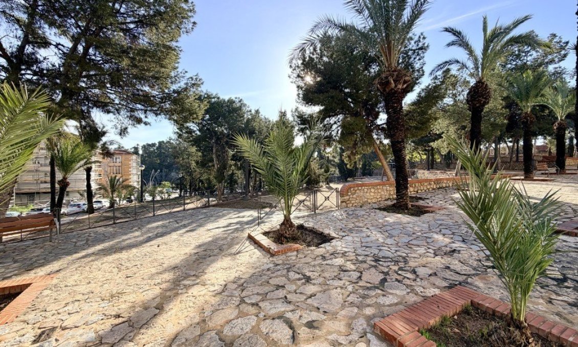 Használt Ingatlanok - Apartman -
Elche - Costa Blanca