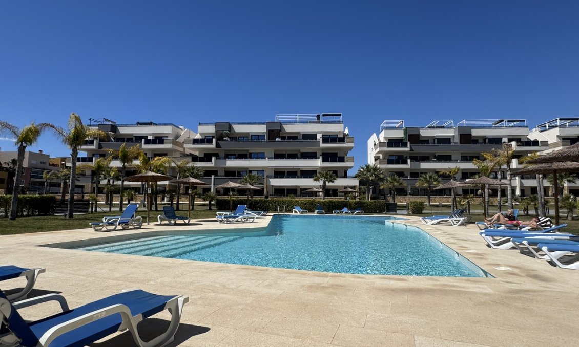 Használt Ingatlanok - Apartman -
Playa Flamenca - Costa Blanca