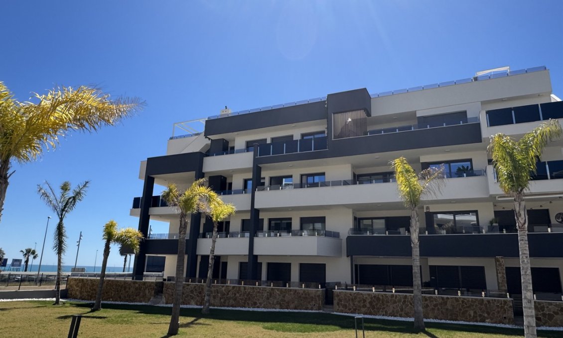 Használt Ingatlanok - Apartman -
Playa Flamenca - Costa Blanca