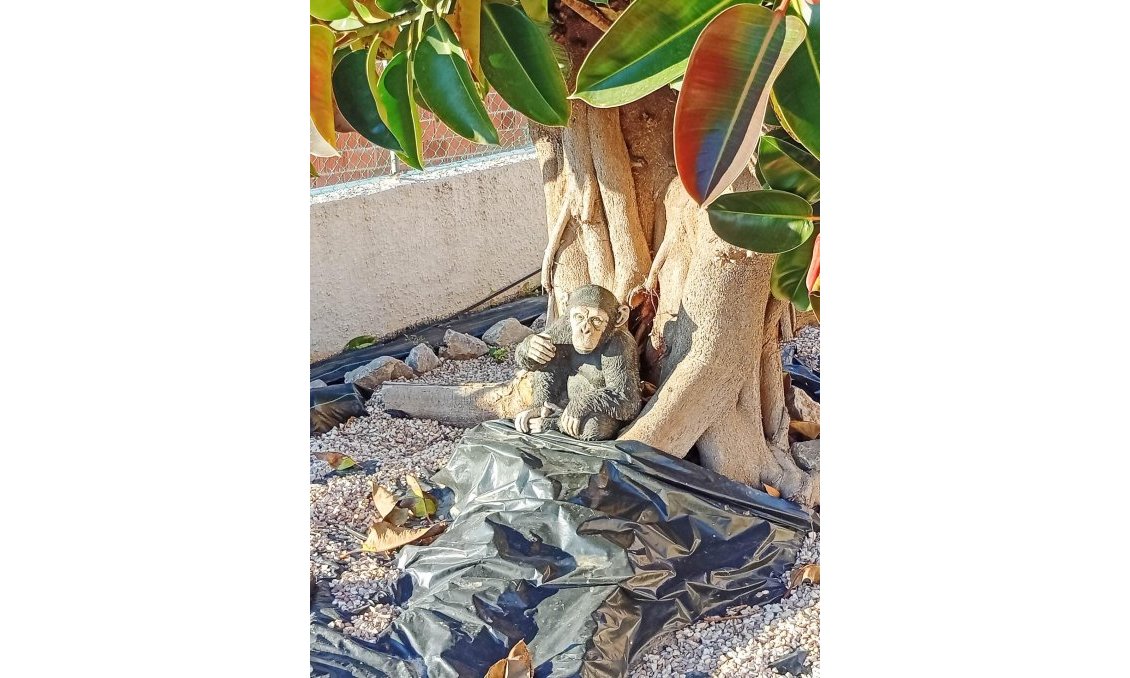 Wiederverkauf - Villa -
Torrevieja - La Siesta