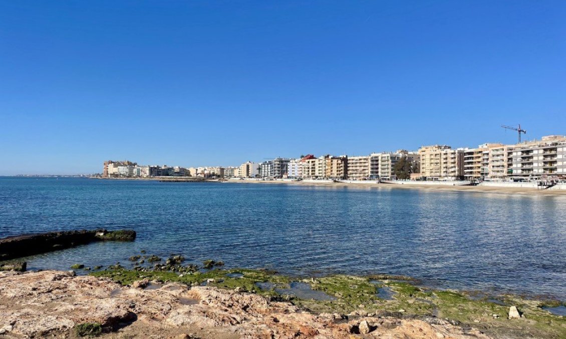 Használt Ingatlanok - Apartman -
Torrevieja - Costa Blanca
