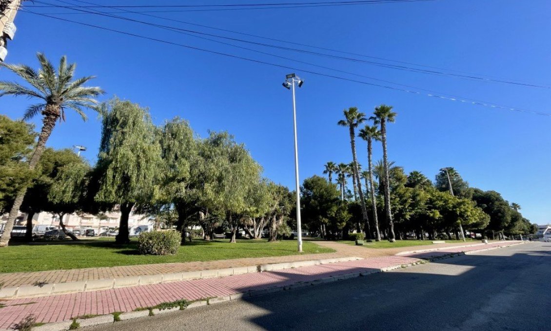 Használt Ingatlanok - Apartman -
Torrevieja - Costa Blanca