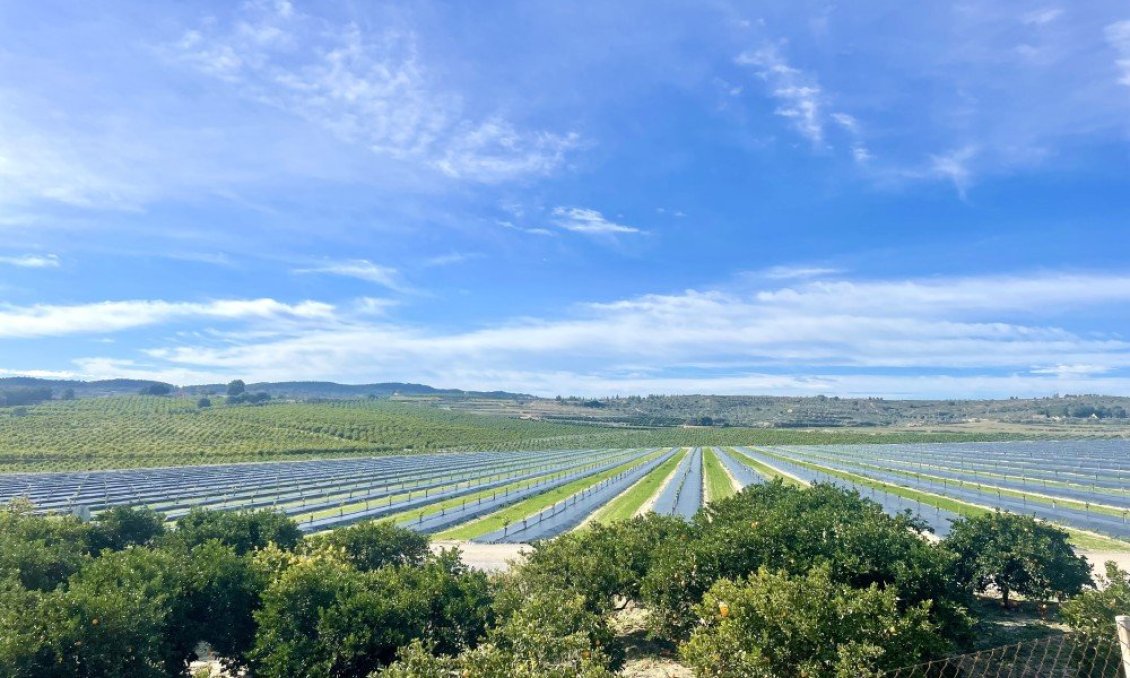 Használt Ingatlanok - Apartman -
Orihuela Costa - Costa Blanca