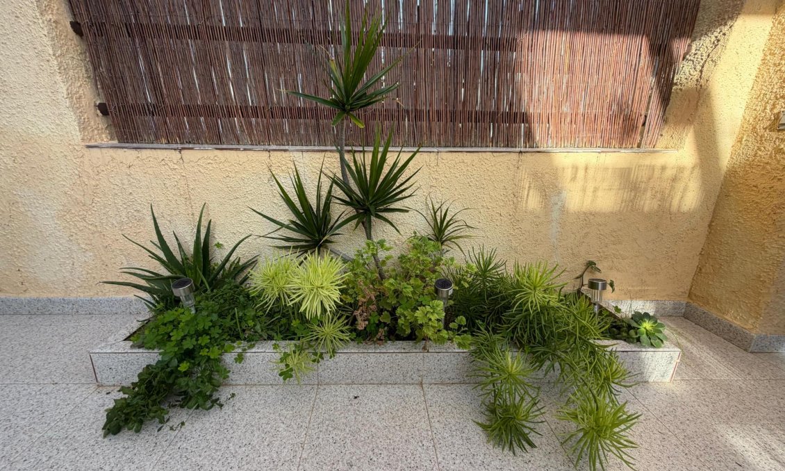 Használt Ingatlanok - Kétszintes lakás -
Lo Pagan - La Puntica